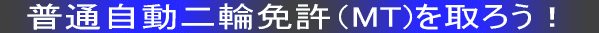 ʓ֖Ƌ(MT)낤
